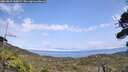 ./images/calvert/fitz-hugh-hecate/20260815/fitz-hugh-hecate20260815_145001M.jpg