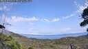 ./images/calvert/fitz-hugh-hecate/20260815/fitz-hugh-hecate20260815_145501M.jpg