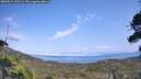 ./images/calvert/fitz-hugh-hecate/20260815/fitz-hugh-hecate20260815_151501M.jpg