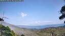 ./images/calvert/fitz-hugh-hecate/20260815/fitz-hugh-hecate20260815_153501M.jpg