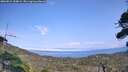 ./images/calvert/fitz-hugh-hecate/20260815/fitz-hugh-hecate20260815_154001M.jpg