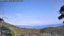 ./images/calvert/fitz-hugh-hecate/20260815/fitz-hugh-hecate20260815_154501M.jpg