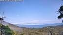 ./images/calvert/fitz-hugh-hecate/20260815/fitz-hugh-hecate20260815_155002M.jpg