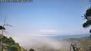 ./images/calvert/fitz-hugh-hecate/20260815/fitz-hugh-hecate20260815_161501M.jpg