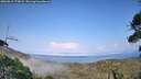 ./images/calvert/fitz-hugh-hecate/20260815/fitz-hugh-hecate20260815_173002M.jpg
