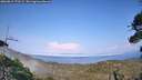 ./images/calvert/fitz-hugh-hecate/20260815/fitz-hugh-hecate20260815_173501M.jpg