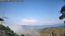 ./images/calvert/fitz-hugh-hecate/20260815/fitz-hugh-hecate20260815_174001M.jpg
