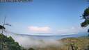 ./images/calvert/fitz-hugh-hecate/20260815/fitz-hugh-hecate20260815_174501M.jpg