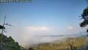 ./images/calvert/fitz-hugh-hecate/20260815/fitz-hugh-hecate20260815_182502M.jpg