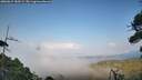 ./images/calvert/fitz-hugh-hecate/20260815/fitz-hugh-hecate20260815_183501M.jpg