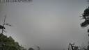 ./images/calvert/fitz-hugh-hecate/20260815/fitz-hugh-hecate20260815_202502M.jpg