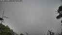 ./images/calvert/fitz-hugh-hecate/20260815/fitz-hugh-hecate20260815_204002M.jpg