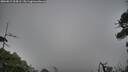./images/calvert/fitz-hugh-hecate/20260815/fitz-hugh-hecate20260815_204502M.jpg