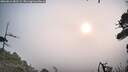 ./images/calvert/fitz-hugh-hecate/20260816/fitz-hugh-hecate20260816_081501M.jpg