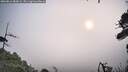 ./images/calvert/fitz-hugh-hecate/20260816/fitz-hugh-hecate20260816_083001M.jpg