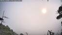 ./images/calvert/fitz-hugh-hecate/20260816/fitz-hugh-hecate20260816_084001M.jpg