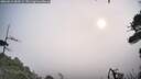 ./images/calvert/fitz-hugh-hecate/20260816/fitz-hugh-hecate20260816_084501M.jpg