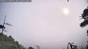 ./images/calvert/fitz-hugh-hecate/20260816/fitz-hugh-hecate20260816_090502M.jpg