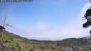 ./images/calvert/fitz-hugh-hecate/20260816/fitz-hugh-hecate20260816_131501M.jpg