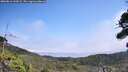 ./images/calvert/fitz-hugh-hecate/20260816/fitz-hugh-hecate20260816_132002M.jpg
