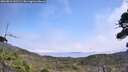 ./images/calvert/fitz-hugh-hecate/20260816/fitz-hugh-hecate20260816_132501M.jpg