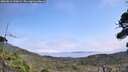 ./images/calvert/fitz-hugh-hecate/20260816/fitz-hugh-hecate20260816_133001M.jpg