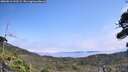 ./images/calvert/fitz-hugh-hecate/20260816/fitz-hugh-hecate20260816_133501M.jpg