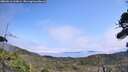 ./images/calvert/fitz-hugh-hecate/20260816/fitz-hugh-hecate20260816_134001M.jpg