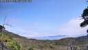 ./images/calvert/fitz-hugh-hecate/20260816/fitz-hugh-hecate20260816_134501M.jpg