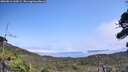 ./images/calvert/fitz-hugh-hecate/20260816/fitz-hugh-hecate20260816_135001M.jpg