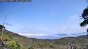 ./images/calvert/fitz-hugh-hecate/20260816/fitz-hugh-hecate20260816_140001M.jpg