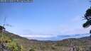./images/calvert/fitz-hugh-hecate/20260816/fitz-hugh-hecate20260816_140501M.jpg