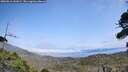 ./images/calvert/fitz-hugh-hecate/20260816/fitz-hugh-hecate20260816_141001M.jpg