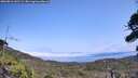 ./images/calvert/fitz-hugh-hecate/20260816/fitz-hugh-hecate20260816_141501M.jpg