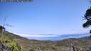 ./images/calvert/fitz-hugh-hecate/20260816/fitz-hugh-hecate20260816_142501M.jpg