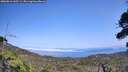 ./images/calvert/fitz-hugh-hecate/20260816/fitz-hugh-hecate20260816_145501M.jpg