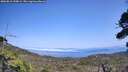 ./images/calvert/fitz-hugh-hecate/20260816/fitz-hugh-hecate20260816_150002M.jpg