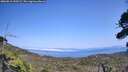 ./images/calvert/fitz-hugh-hecate/20260816/fitz-hugh-hecate20260816_150502M.jpg