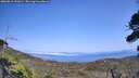 ./images/calvert/fitz-hugh-hecate/20260816/fitz-hugh-hecate20260816_151001M.jpg
