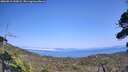 ./images/calvert/fitz-hugh-hecate/20260816/fitz-hugh-hecate20260816_152001M.jpg
