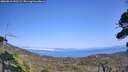 ./images/calvert/fitz-hugh-hecate/20260816/fitz-hugh-hecate20260816_152501M.jpg