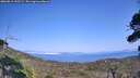 ./images/calvert/fitz-hugh-hecate/20260816/fitz-hugh-hecate20260816_153501M.jpg