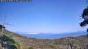 ./images/calvert/fitz-hugh-hecate/20260816/fitz-hugh-hecate20260816_154001M.jpg