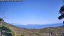 ./images/calvert/fitz-hugh-hecate/20260816/fitz-hugh-hecate20260816_154501M.jpg