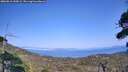 ./images/calvert/fitz-hugh-hecate/20260816/fitz-hugh-hecate20260816_155001M.jpg