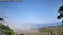 ./images/calvert/fitz-hugh-hecate/20260816/fitz-hugh-hecate20260816_155502M.jpg