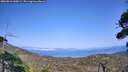 ./images/calvert/fitz-hugh-hecate/20260816/fitz-hugh-hecate20260816_160501M.jpg