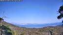 ./images/calvert/fitz-hugh-hecate/20260816/fitz-hugh-hecate20260816_161001M.jpg
