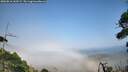./images/calvert/fitz-hugh-hecate/20260816/fitz-hugh-hecate20260816_163502M.jpg
