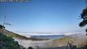 ./images/calvert/fitz-hugh-hecate/20260816/fitz-hugh-hecate20260816_190001M.jpg